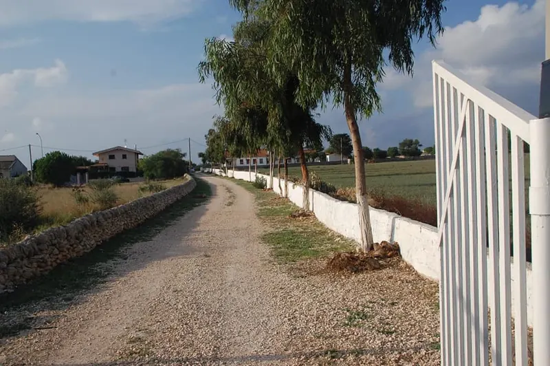 Il viale alberato davanti a Villa Felice