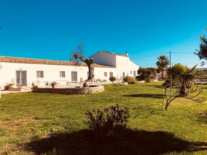 Prato e ulivi davanti alla villa bianca sotto il cielo azzurro