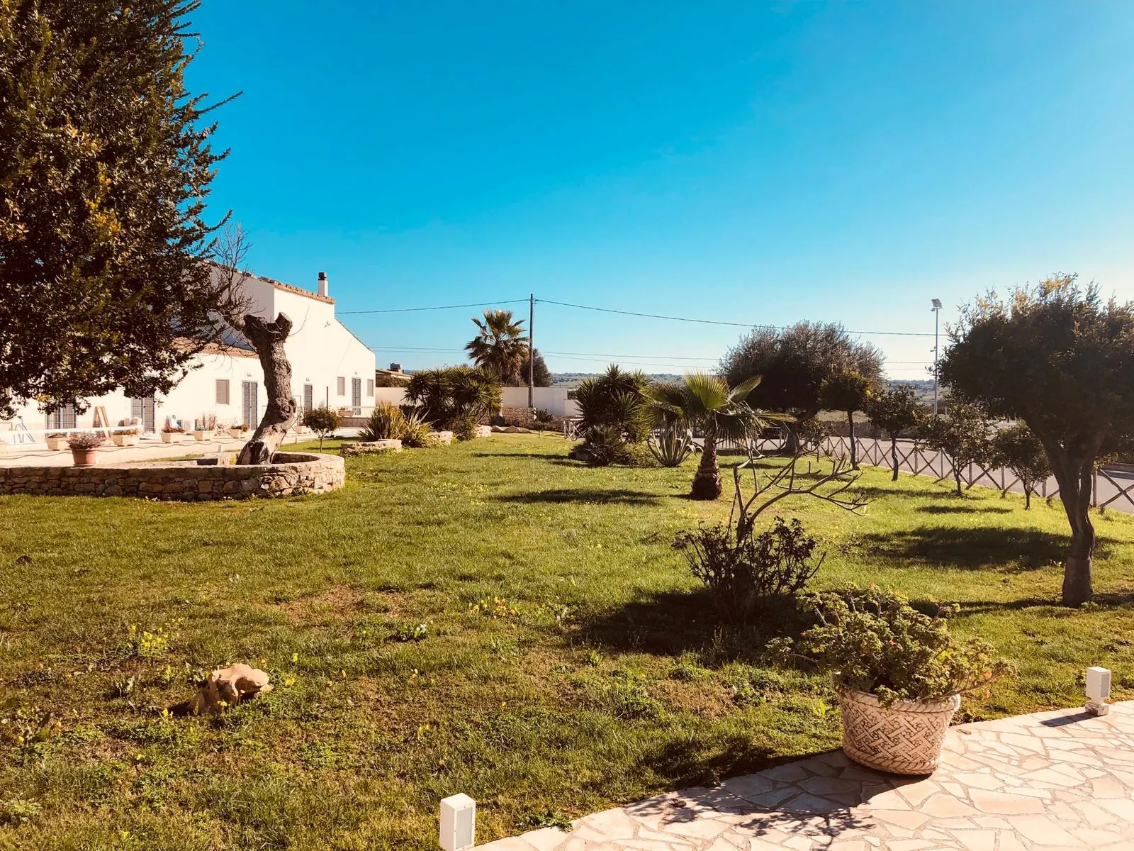 Il giardino di Villa Felice Namastè con ulivi, palme e la villa bianca sullo sfondo