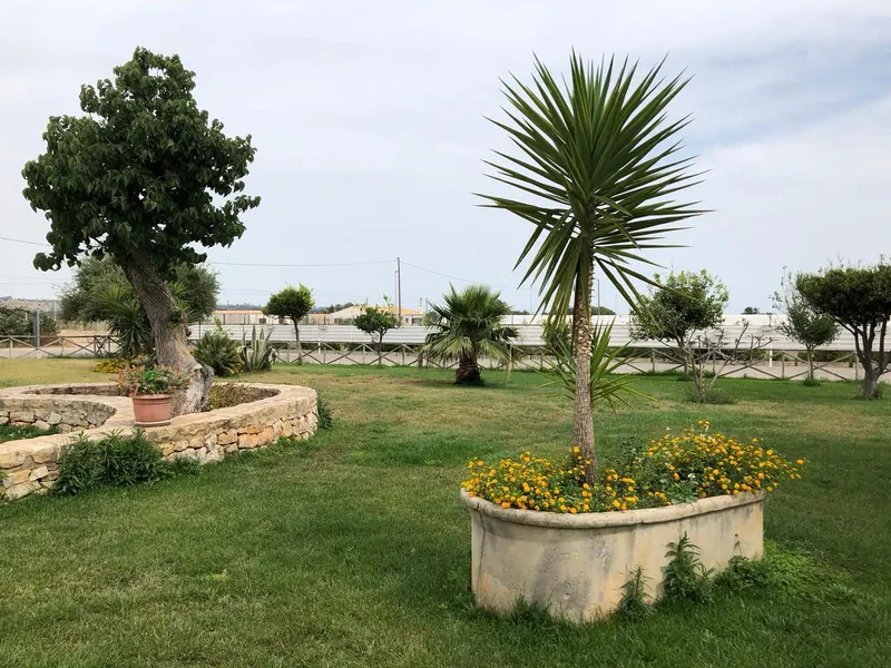 Prato con palma e aiuola fiorita davanti a Villa Felice Namastè