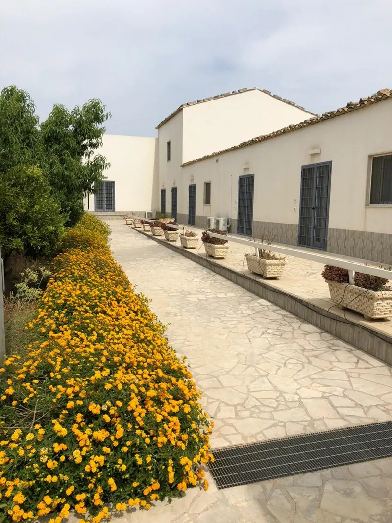 Vialetto con fiori gialli lungo la villa